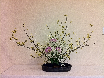 さんしゅ・西洋菊・かすみ草