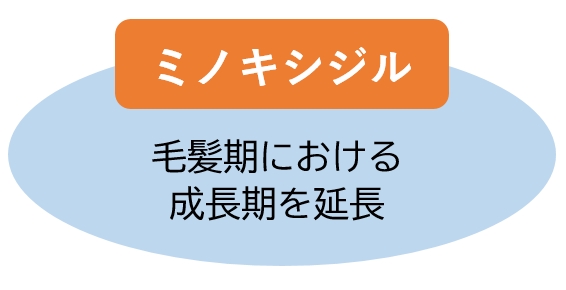 ミノキシジル