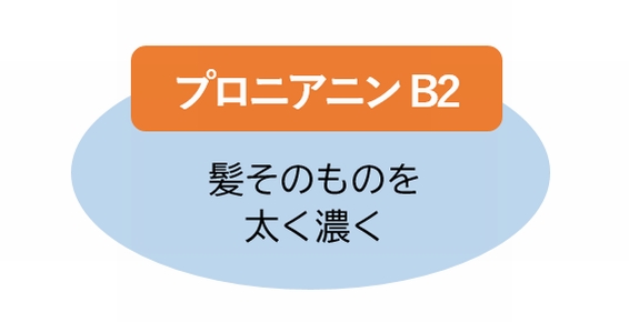 プロシアニジンB2