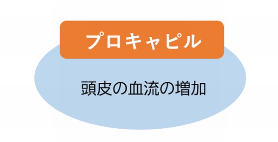 プロキャビル