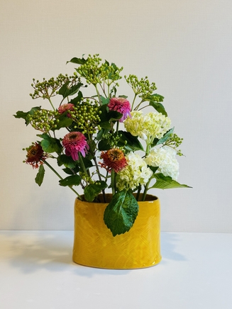 エキナセア・アジサイ・ビバーナム