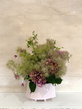 セイヨウアジサイ・スモークツリー・クレマチス