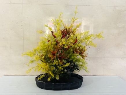 メラレウカ・アマリリス・ウインターベリー・ビバーナムティナス