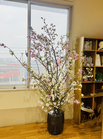 デイジー港南の桜
