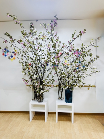 アイリス港南の桜