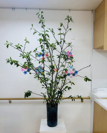 アイリス港南の葉桜